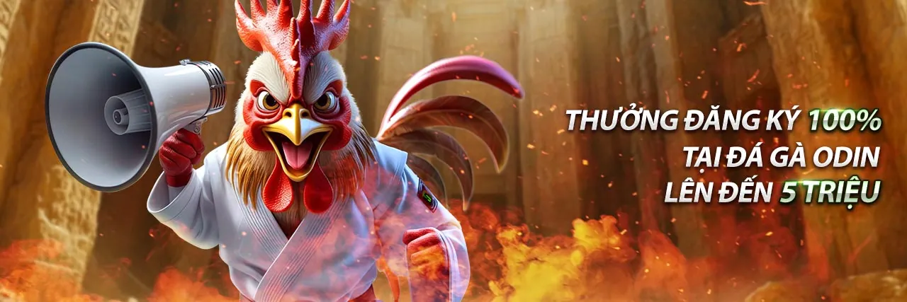 Hướng dẫn cơ bản về thống kê Poker